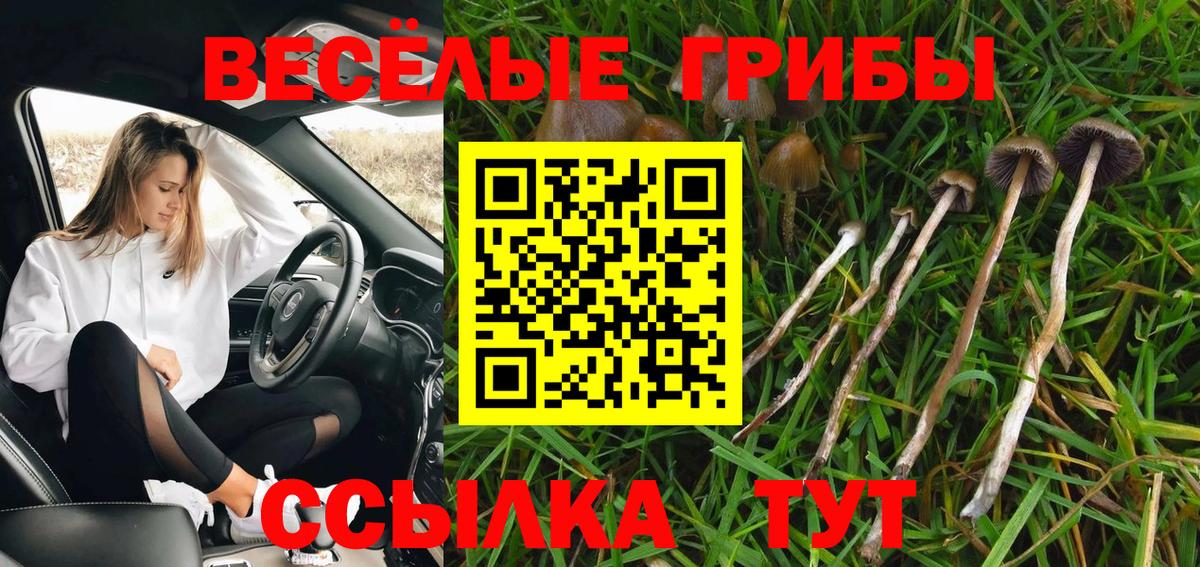 Псилоцибиновые грибы мухоморы  Вход с VPN  Ачхой-Мартан 
