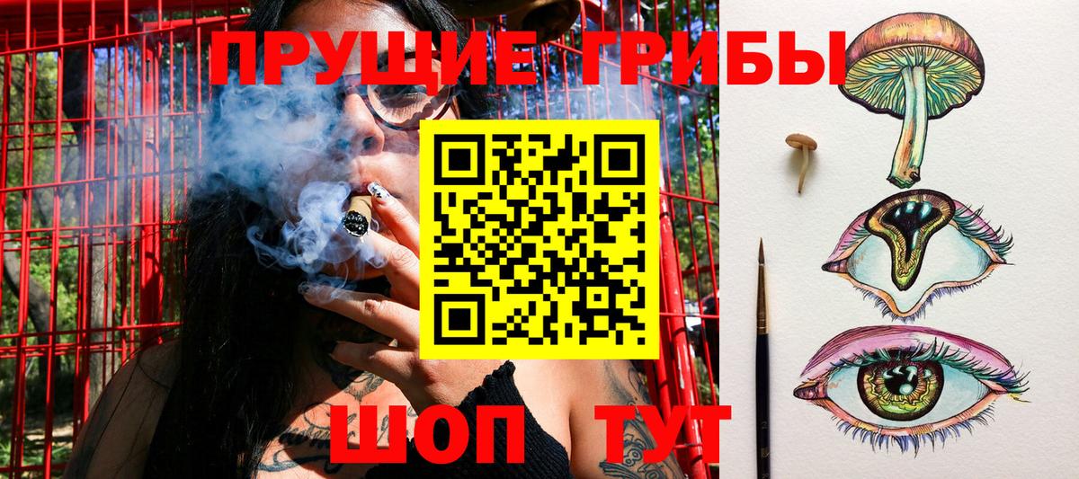 Псилоцибиновые грибы мицелий  Ачхой-Мартан 