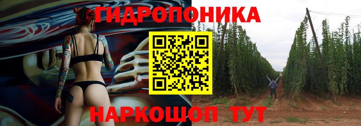 Бошки марихуана тримм  МАРИХУАНА Bruce Banner  Ачхой-Мартан  Марихуана сатива  Конопля семена 